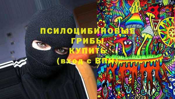 PSILOCYBIN Михайловск