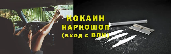 индика Медногорск