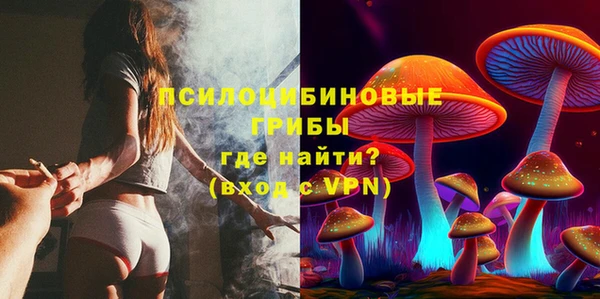 PSILOCYBIN Михайловск