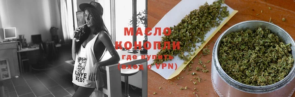 стаф Великий Новгород