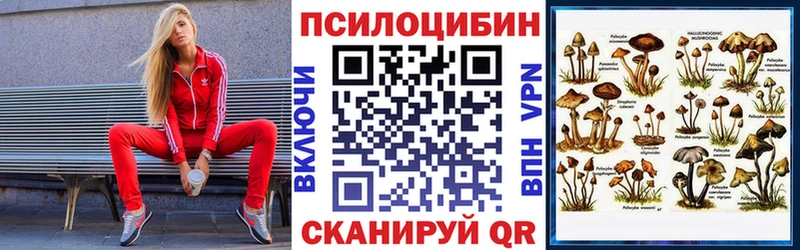 Галлюциногенные грибы ЛСД  Озёры 